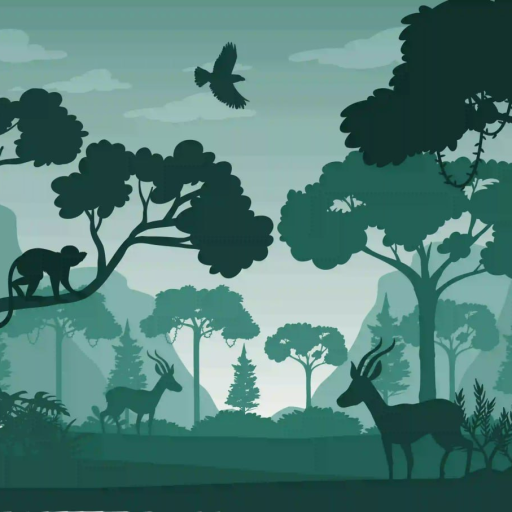 Profile picture of user Muhsinbek