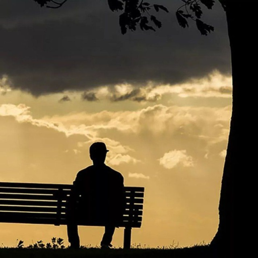 Profile picture of user Karimov Islombek