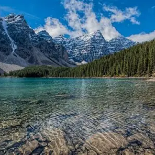 Profile picture of user Azizbek Soliyev