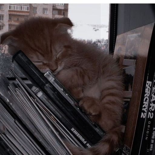 Profile picture of user Ziyoda Maxamadjonova