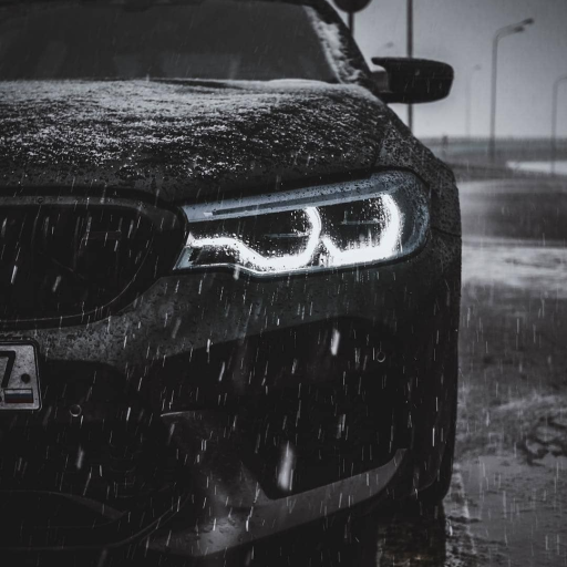 Profile picture of user cpp_boy and python_boy