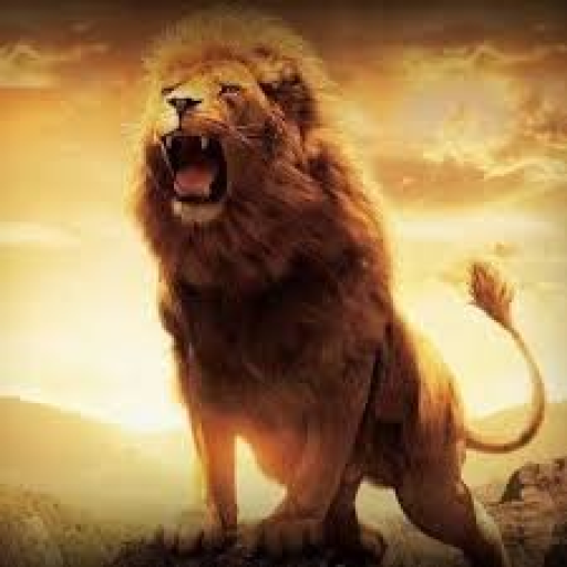 Profile picture of user Abdulboqiy Abdulazizov