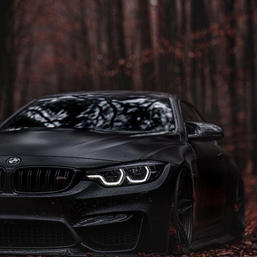 Profile picture of user islom umirzoqov