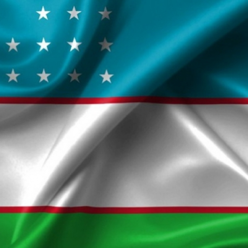 Profile picture of user Obidov Usmon