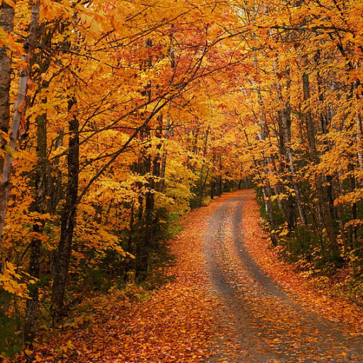 Profile picture of user Abram Amonqulov