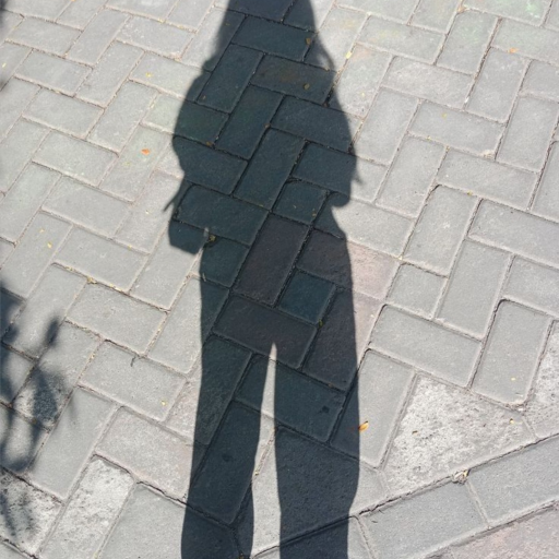 Profile picture of user zahro abdullayeva
