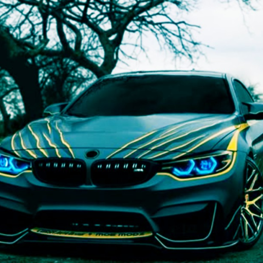 Profile picture of user maxsudova Madina