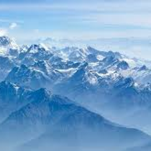 Profile picture of user 67