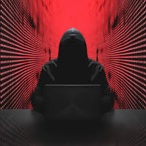 Profile picture of user nurmuhammad naimov