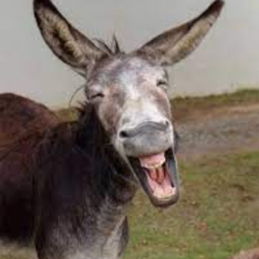 Profile picture of user soyib eshshak