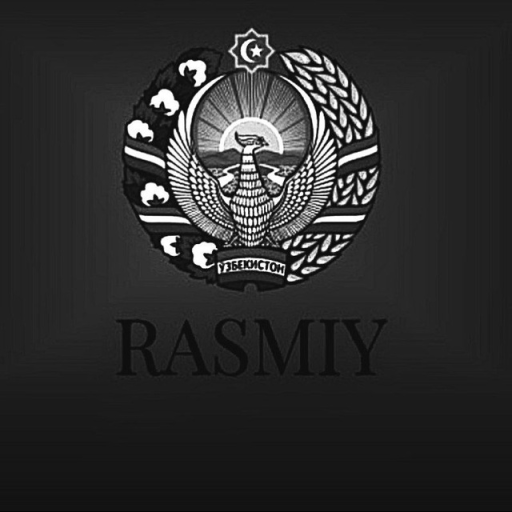 Profile picture of user Anarboyev Javohir