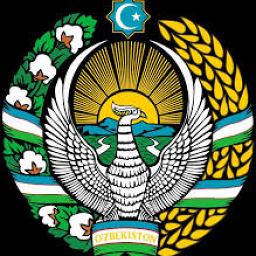 Profile picture of user Shoxruz Sa'dullayev