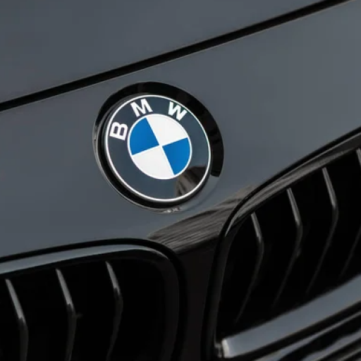 Profile picture of user bir jilli