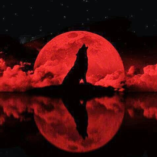 Profile picture of user Diyorbek