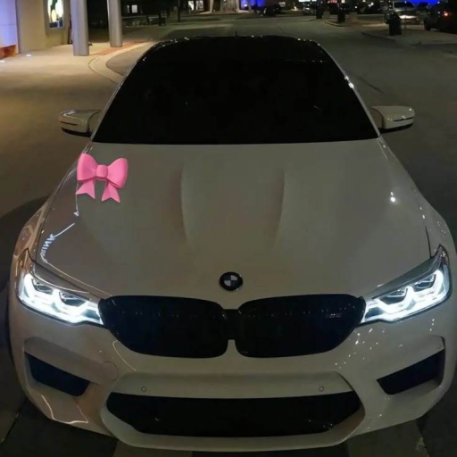 Profile picture of user Eshboyeva Nigina