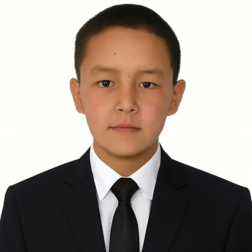 Profile picture of user Asilbek Omonov