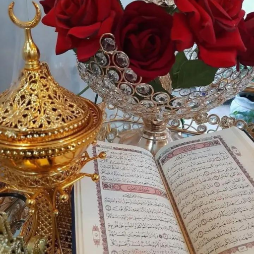 Profile picture of user Asila Axmedova