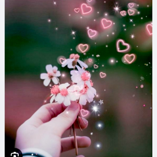 Profile picture of user Asila Axmedova