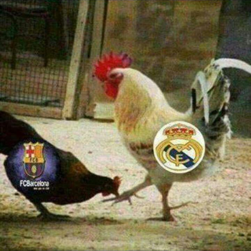 Profile picture of user Viska_&_Madrid