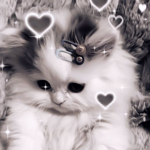 Profile picture of user Miss_Moona