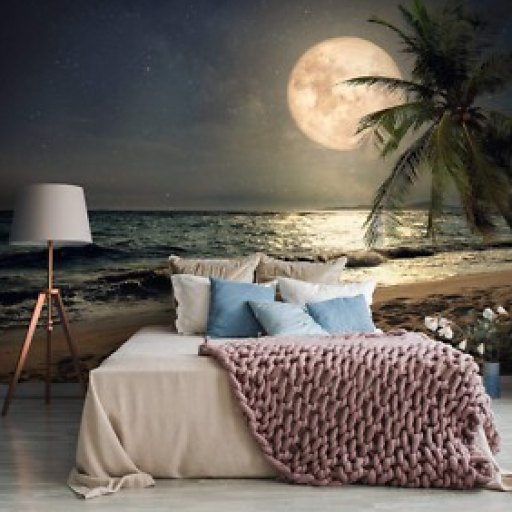 Profile picture of user Ataqulova Bahora