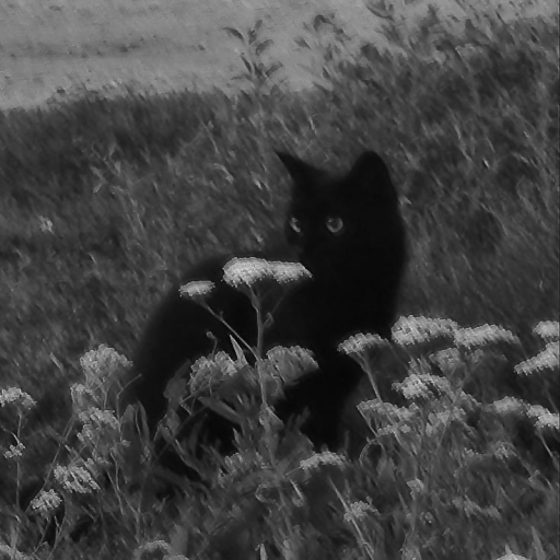 Profile picture of user Aziza Jamolova