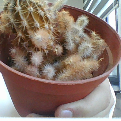 Profile picture of user bottt