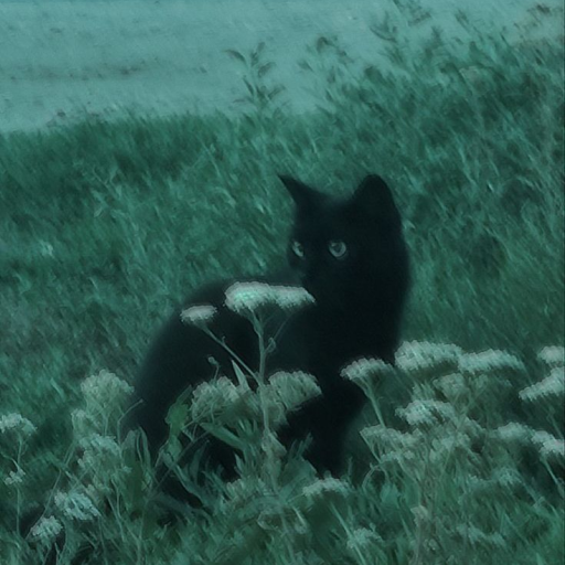 Profile picture of user Odiljanova Mushtariy