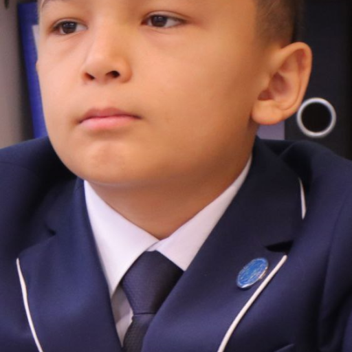 Profile picture of user Donayev Mirzoqobil