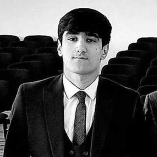 Profile picture of user Ruslan Mamasharipov