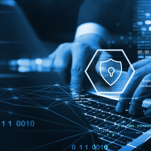 Profile picture of user Sardor Uralov