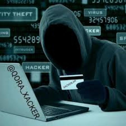 Profile picture of user Nurbek Adirov