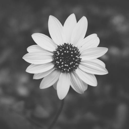 Profile picture of user Mubina Xidirnazarova