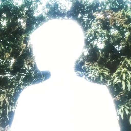 Profile picture of user Javohir Aloviddinov