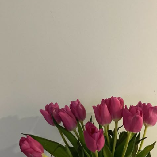 Profile picture of user Zarina Maksatboyeva