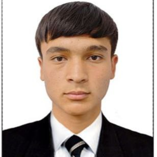 Profile picture of user Mamadaliyev Hasanboy