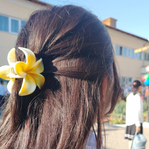 Profile picture of user Dilnavoz