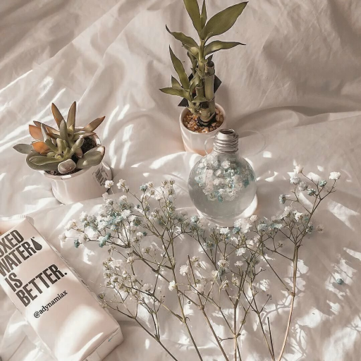 Profile picture of user Zarina Maksatboyva