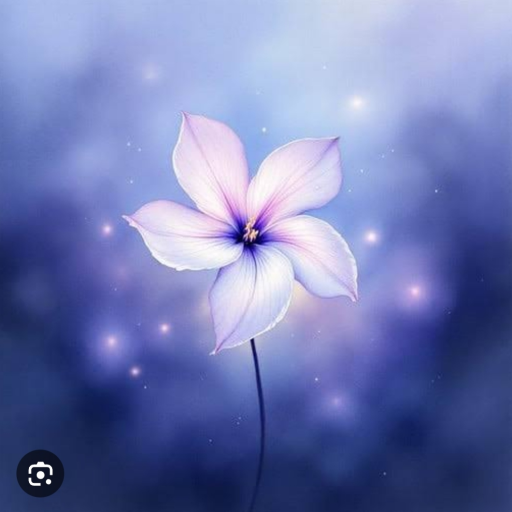 Profile picture of user Durdona