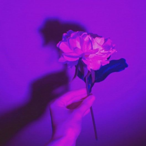 Profile picture of user Durdona