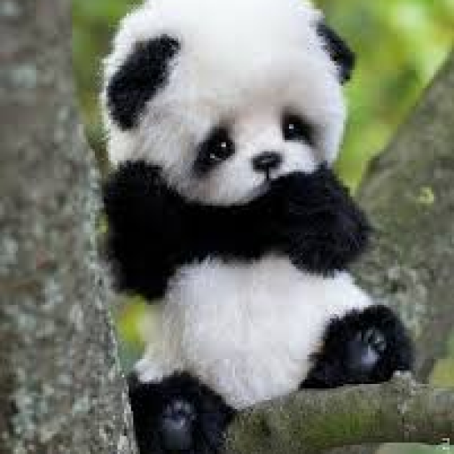 Profile picture of user Qurbanbaeva Gulsevar