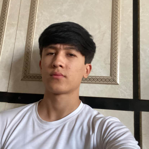 Profile picture of user Odilshoh