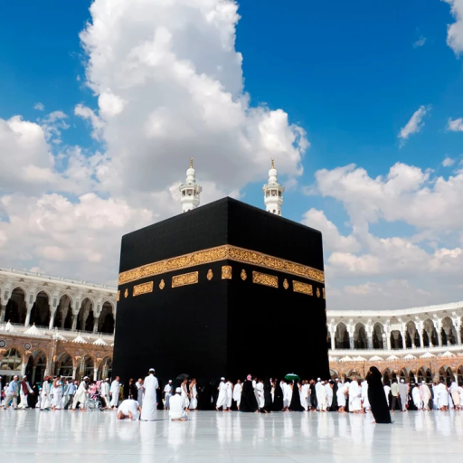 Profile picture of user Asalbonu