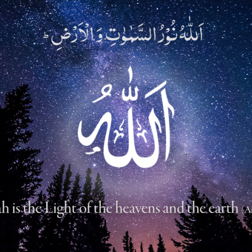 Profile picture of user Nuriddinov Shohrux