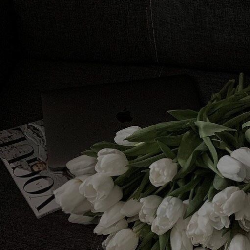 Profile picture of user Saidaxon ismoiljonova