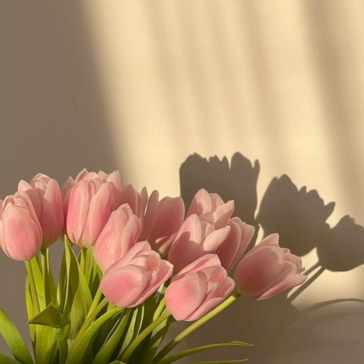 Profile picture of user Saidaxon ismoiljonova