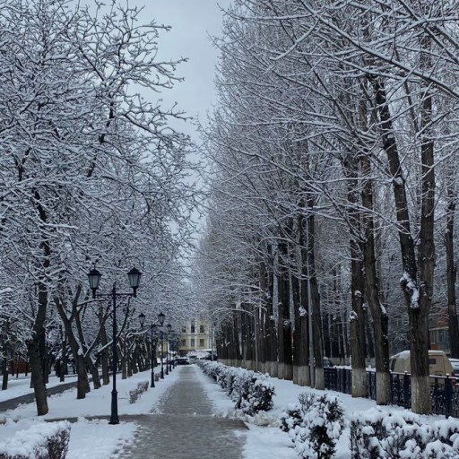 Profile picture of user Abdulatif Abdunabiyev