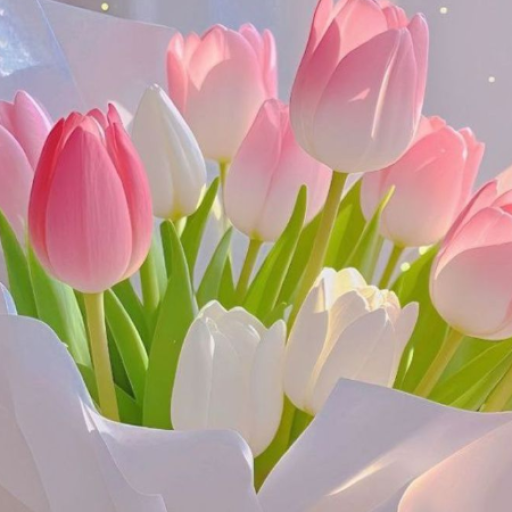 Profile picture of user rozmetova kumushbibi