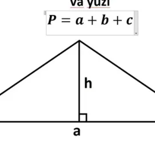 Profile picture of user elmurodov timur