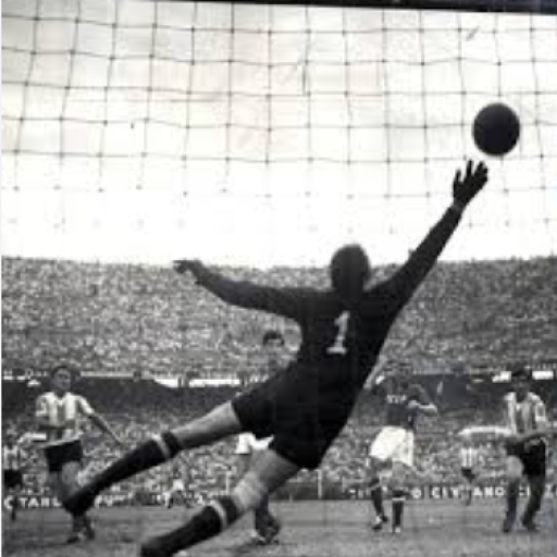 Profile picture of user Qilichev Sobirjon